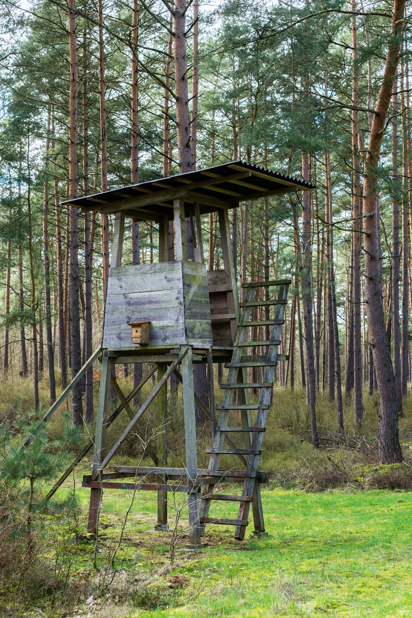 A wooden observation or hunting tower